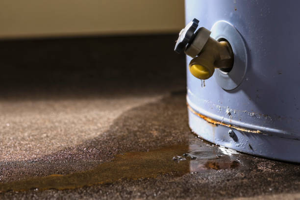 Water damage restoration mold remediation in Grantville, GA