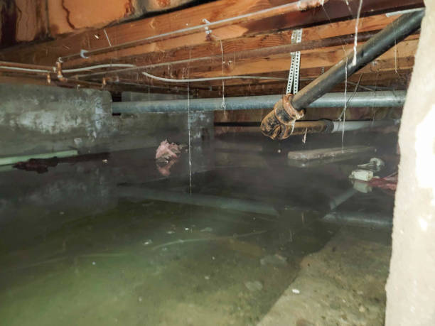 Best Flooded house restoration  in Grantville, GA