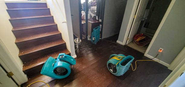 Best Flooded house restoration  in Grantville, GA