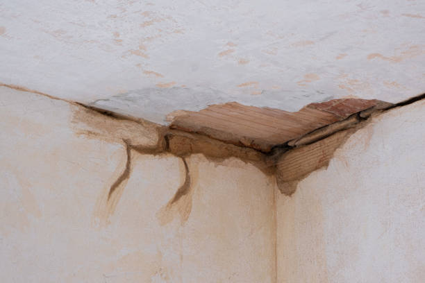 Best Water damage restoration near me  in Grantville, GA