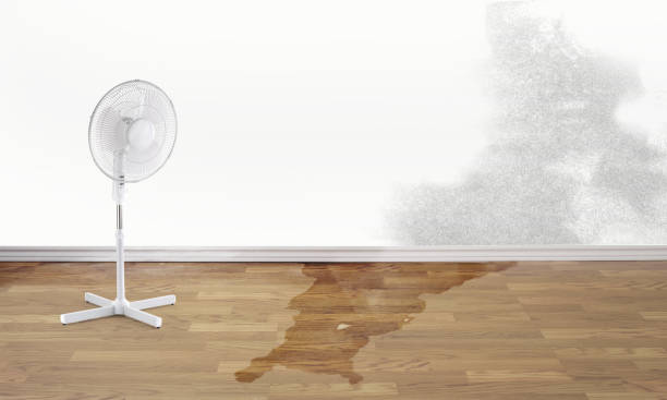 Best Professional water damage repair  in Grantville, GA