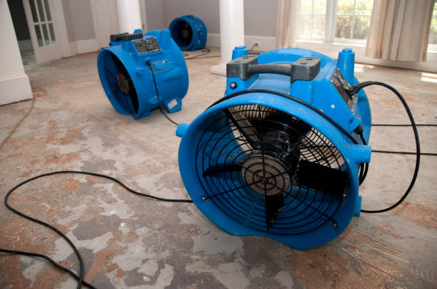 Best Water damage restoration mold remediation  in Grantville, GA
