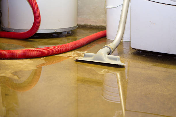 Best Sewage cleanup and water damage restoration  in Grantville, GA