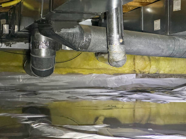 Best Mold removal after water damage  in Grantville, GA