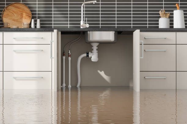 Best Ceiling water damage repair  in Grantville, GA