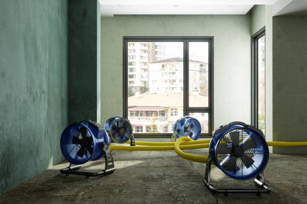 Best Local water damage restoration  in Grantville, GA