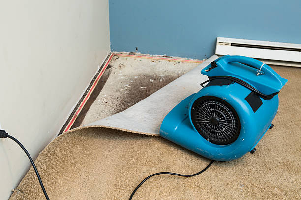 Sewage cleanup and water damage restoration in Grantville, GA